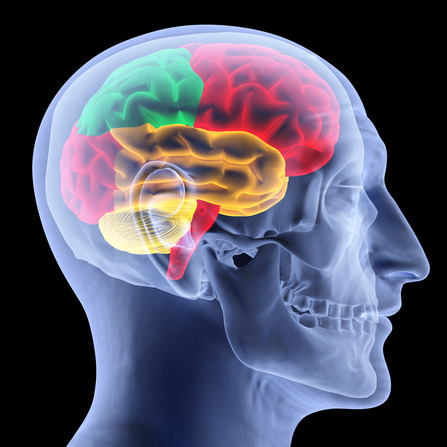 brain health, brain health assessment