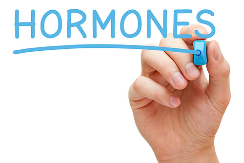 hormones